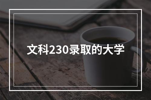 文科230录取的大学