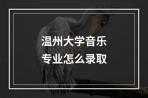 温州大学音乐专业怎么录取