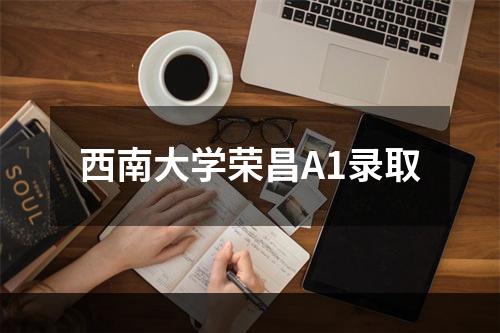 西南大学荣昌A1录取