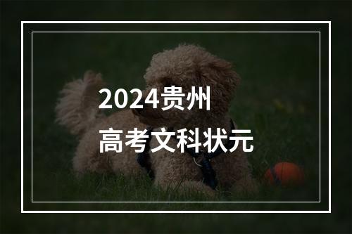 2024贵州高考文科状元