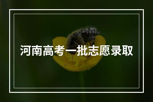 河南高考一批志愿录取