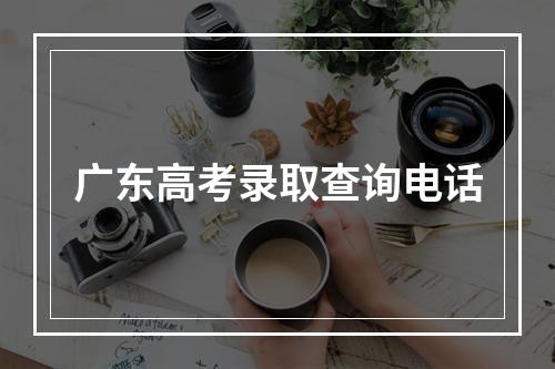 广东高考录取查询电话