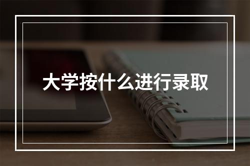 大学按什么进行录取