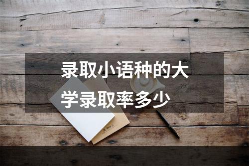 录取小语种的大学录取率多少