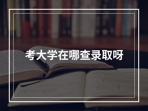 考大学在哪查录取呀