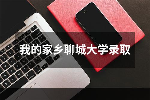 我的家乡聊城大学录取