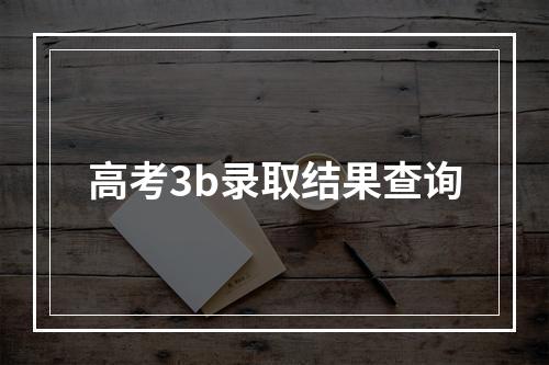 高考3b录取结果查询