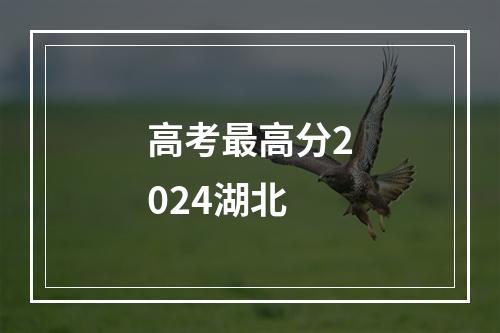 高考最高分2024湖北