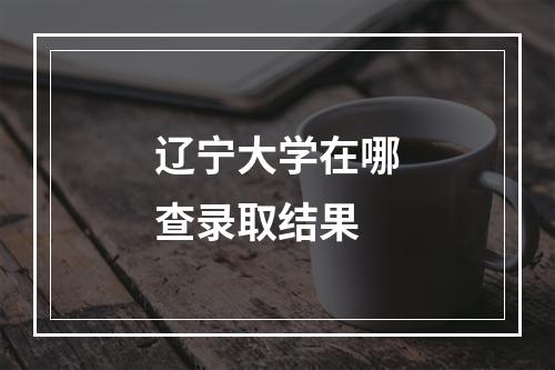 辽宁大学在哪查录取结果