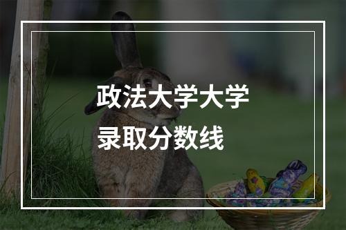 政法大学大学录取分数线