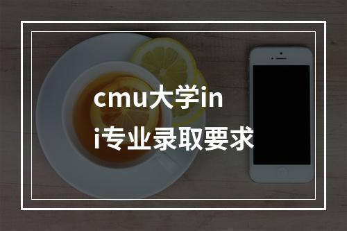 cmu大学ini专业录取要求