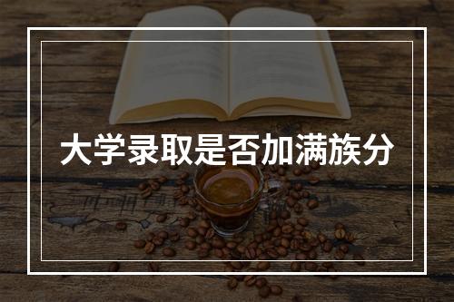 大学录取是否加满族分