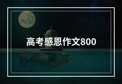 高考感恩作文800