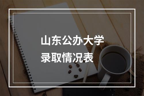 山东公办大学录取情况表