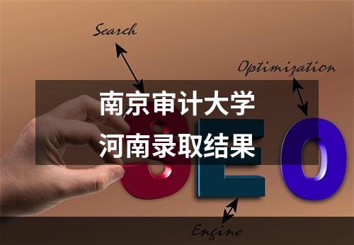 南京审计大学河南录取结果