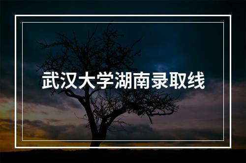 武汉大学湖南录取线