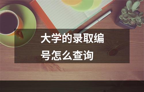 大学的录取编号怎么查询