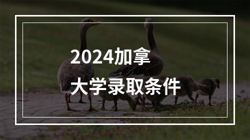 2024加拿大学录取条件