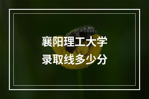 襄阳理工大学录取线多少分