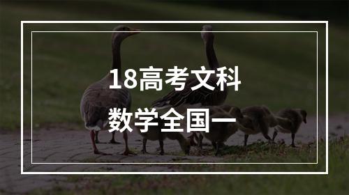 18高考文科数学全国一