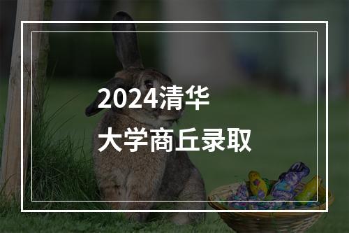 2024清华大学商丘录取