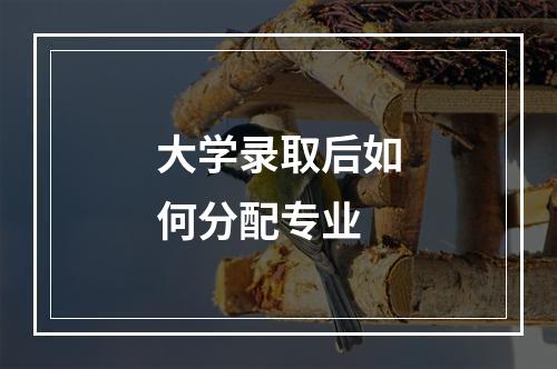 大学录取后如何分配专业