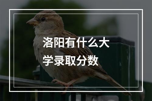 洛阳有什么大学录取分数