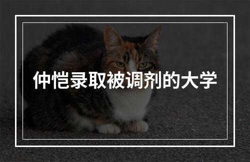 仲恺录取被调剂的大学