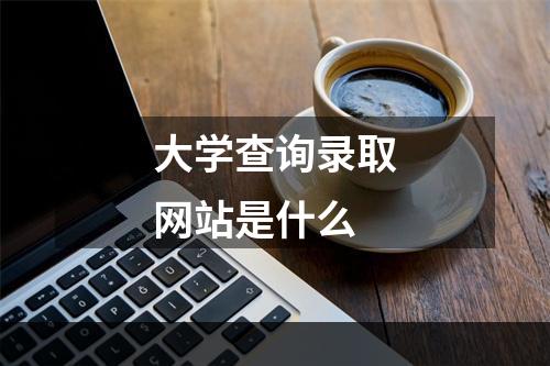 大学查询录取网站是什么