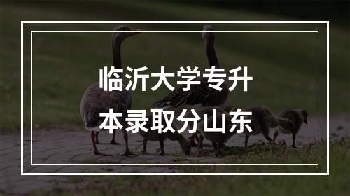 临沂大学专升本录取分山东