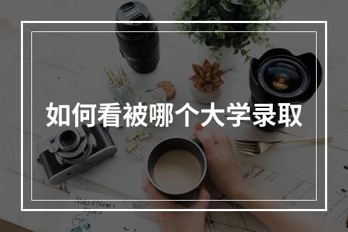 如何看被哪个大学录取