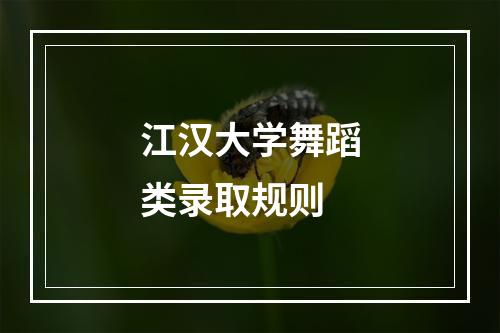 江汉大学舞蹈类录取规则