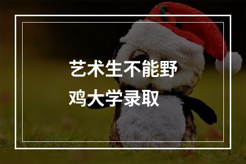 艺术生不能野鸡大学录取