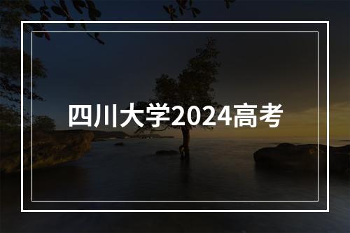 四川大学2024高考