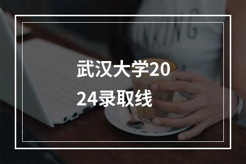 武汉大学2024录取线