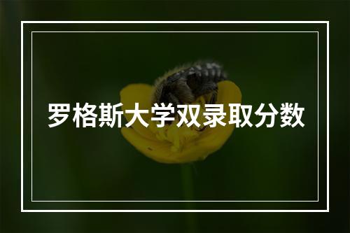 罗格斯大学双录取分数