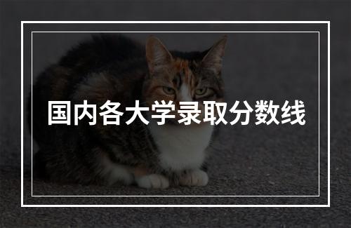 国内各大学录取分数线