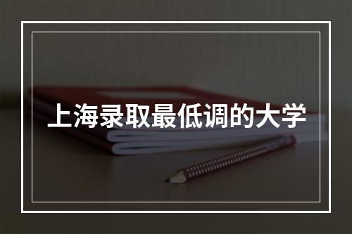 上海录取最低调的大学