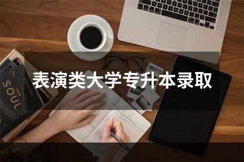 表演类大学专升本录取