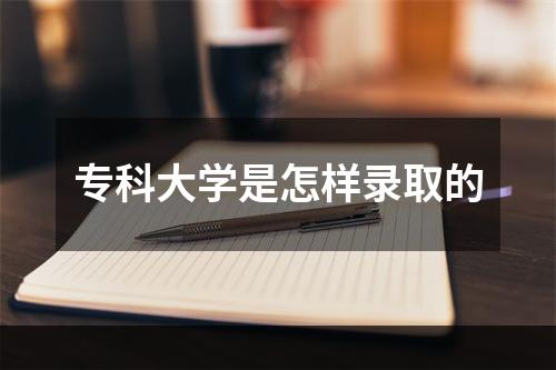 专科大学是怎样录取的