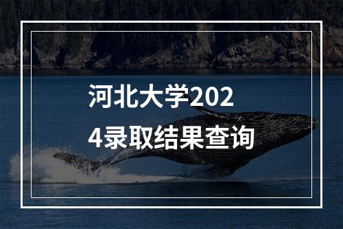 河北大学2024录取结果查询