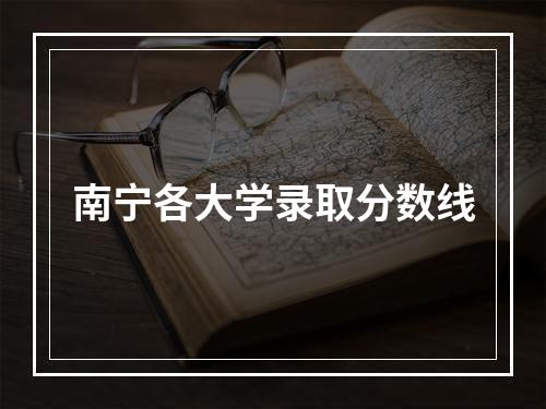 南宁各大学录取分数线