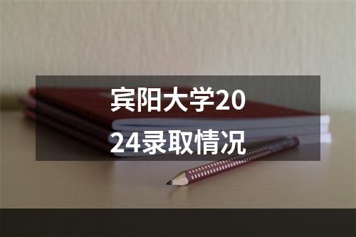 宾阳大学2024录取情况