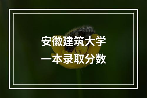 安徽建筑大学一本录取分数