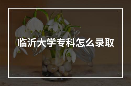 临沂大学专科怎么录取