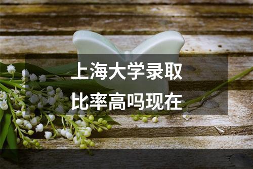 上海大学录取比率高吗现在