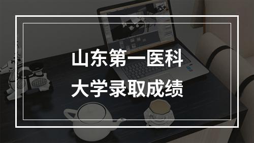 山东第一医科大学录取成绩