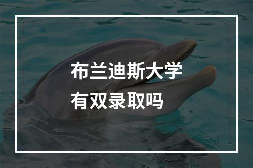 布兰迪斯大学有双录取吗