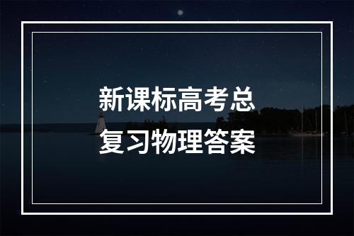 新课标高考总复习物理答案