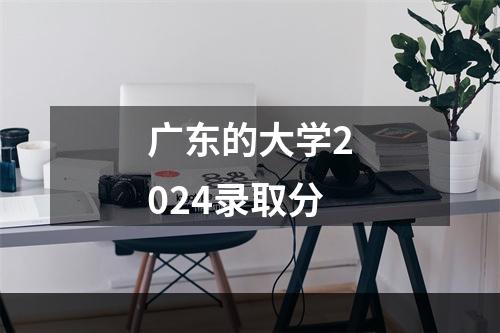 广东的大学2024录取分